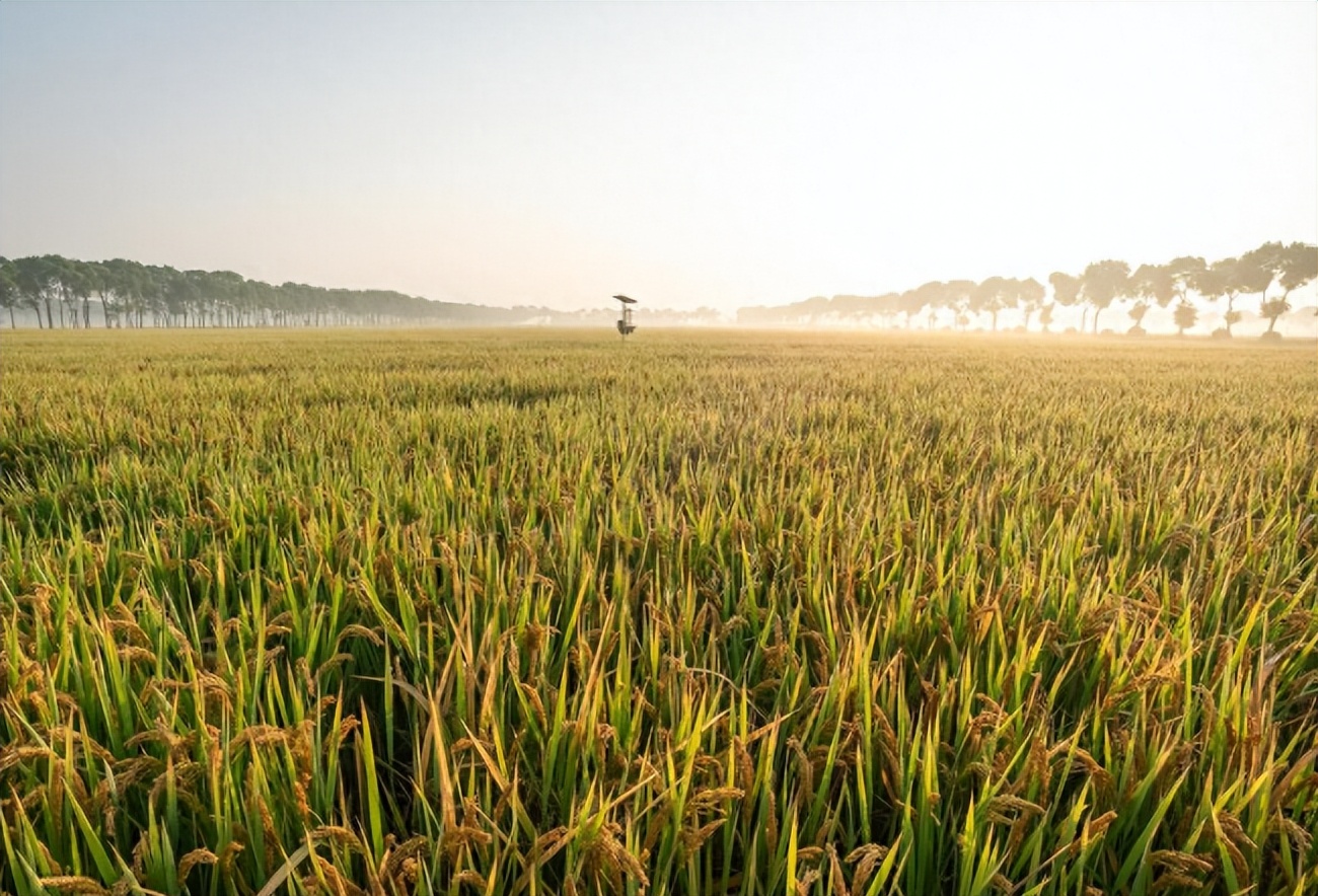 华西吴仁宝逝世多少年,华西村吴仁宝什么病死的