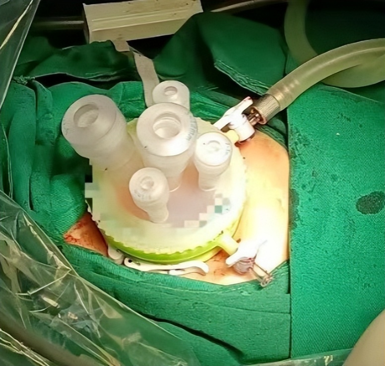 美丽与健康同在,美丽与健康并存