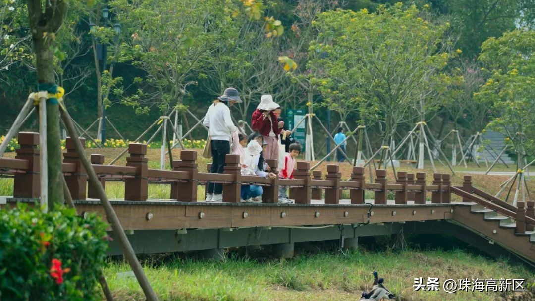 遛娃必看！这些春日色彩，就藏在高新区的公园里…