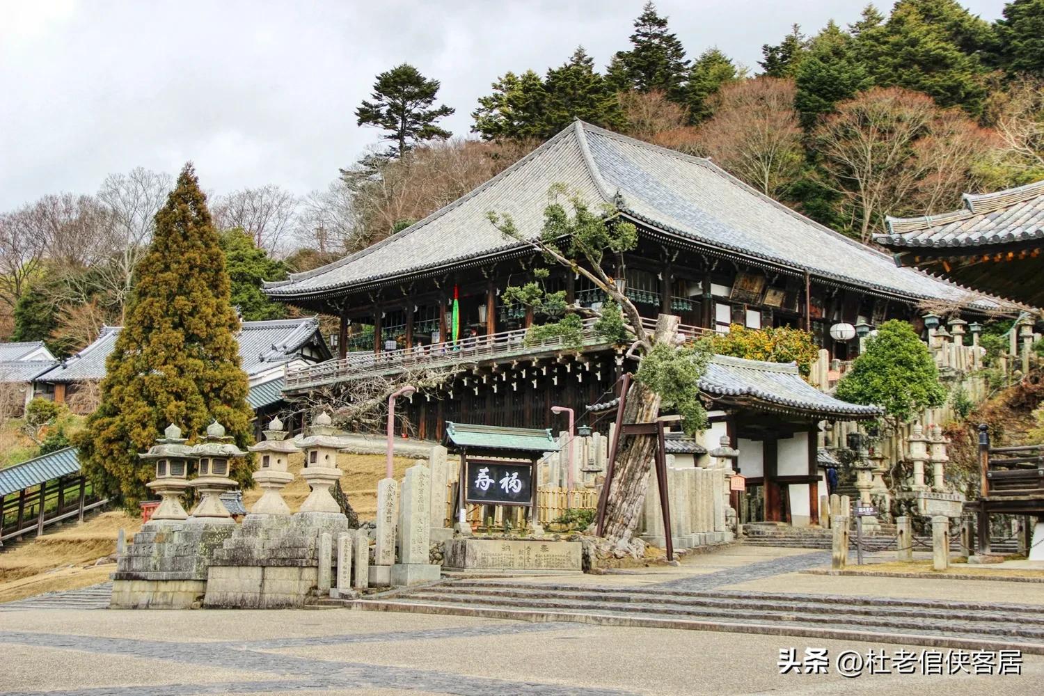 日本京都奈良之行,日本奈良大阪东京八天之旅