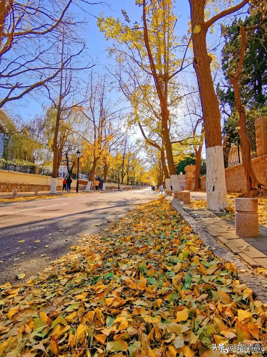 旅行日记每一帧都是热爱,这是一场最美的旅行日记