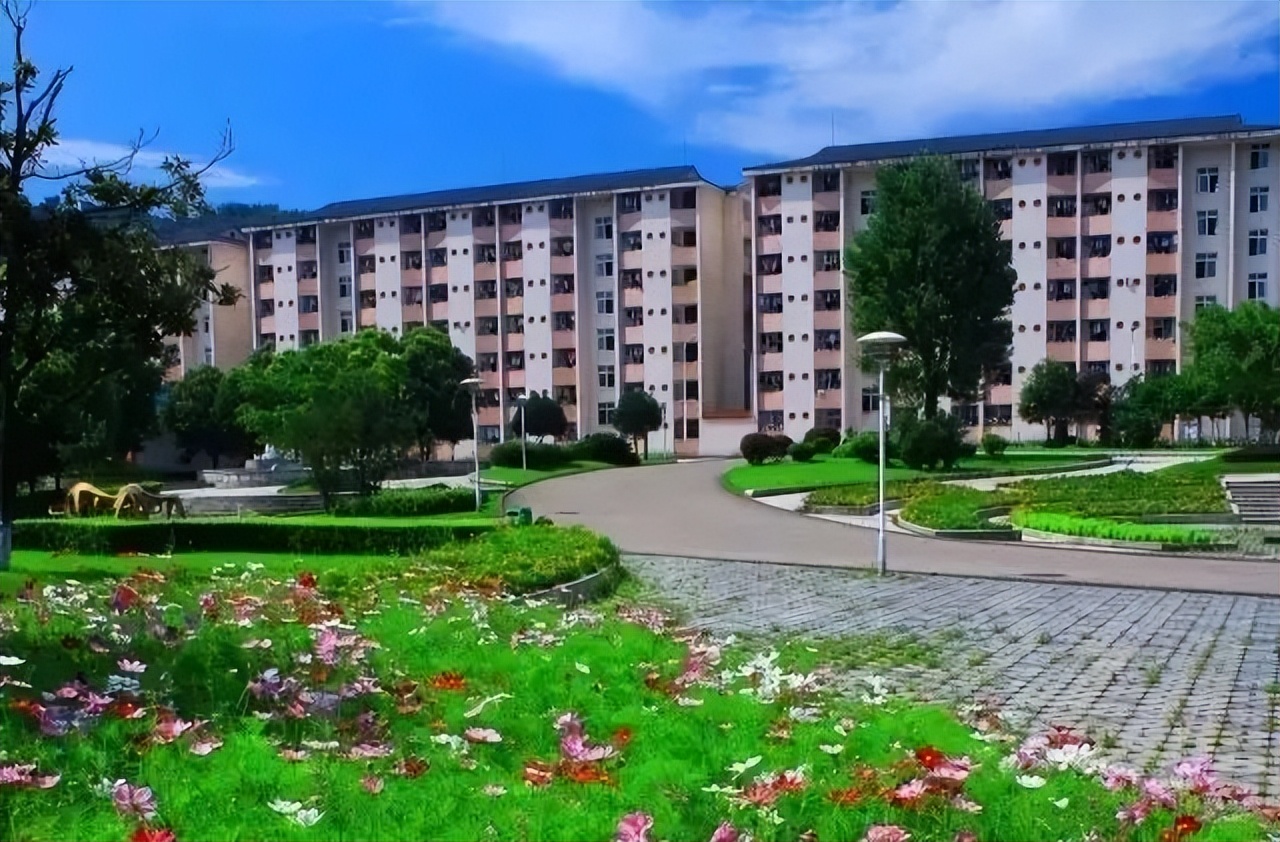 四川各个高校占地面积,四川省占地最大前十的大学