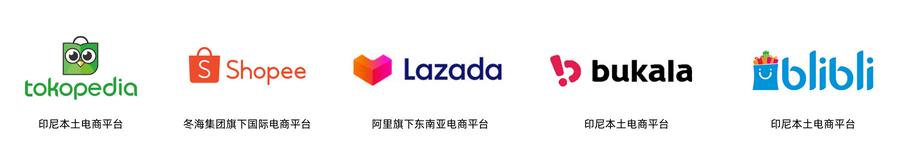 东南亚国家排名第一的是哪个,东南亚前十国家