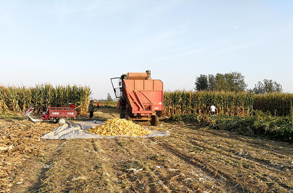 白露这天打雷下雨有什么说法,今年白露是哪天有什么说法