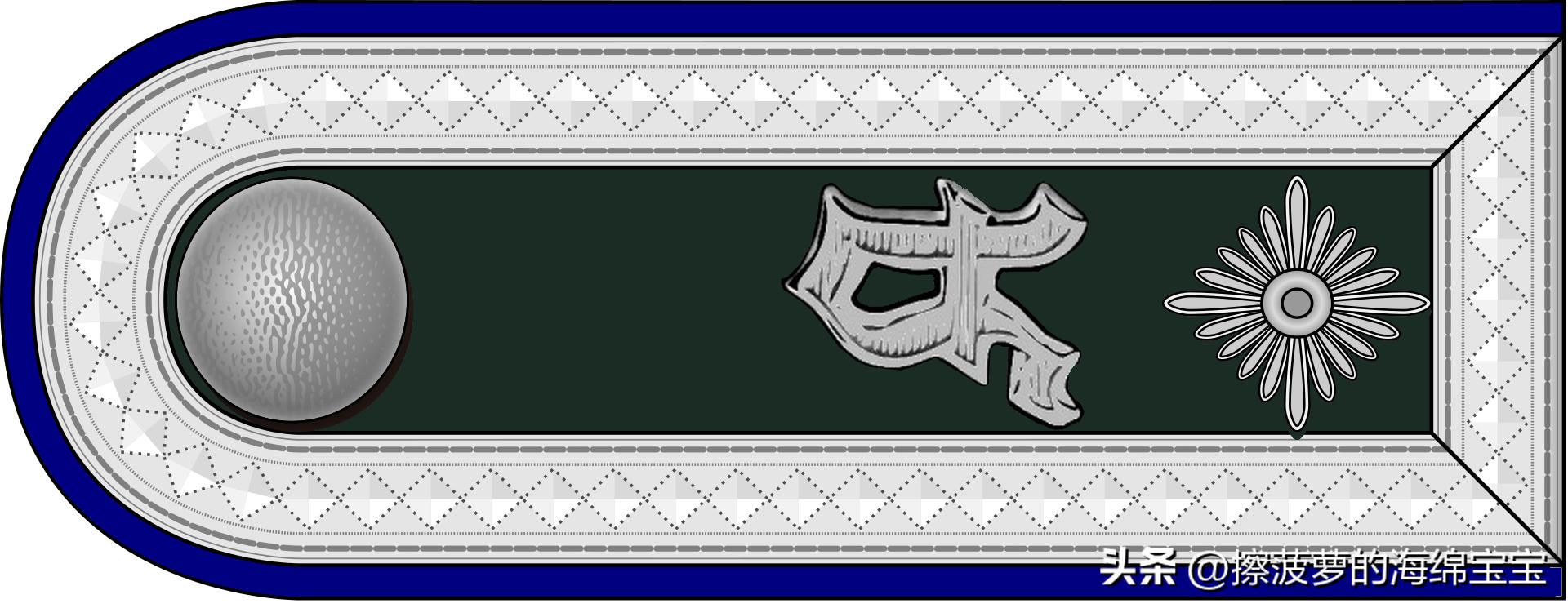 二战德国国防军医疗兵军衔标志