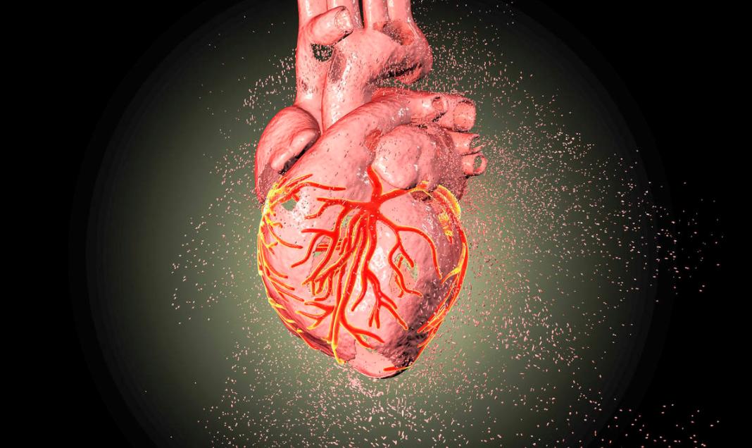 心跳过慢、心跳过快，分别提示哪些疾病？心跳多少次才算正常？
