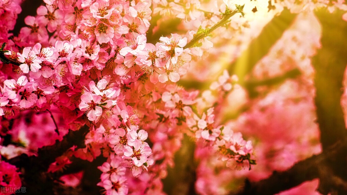 低成本创业小生意适合女生200元,小生意月入5万50岁创业成功案例