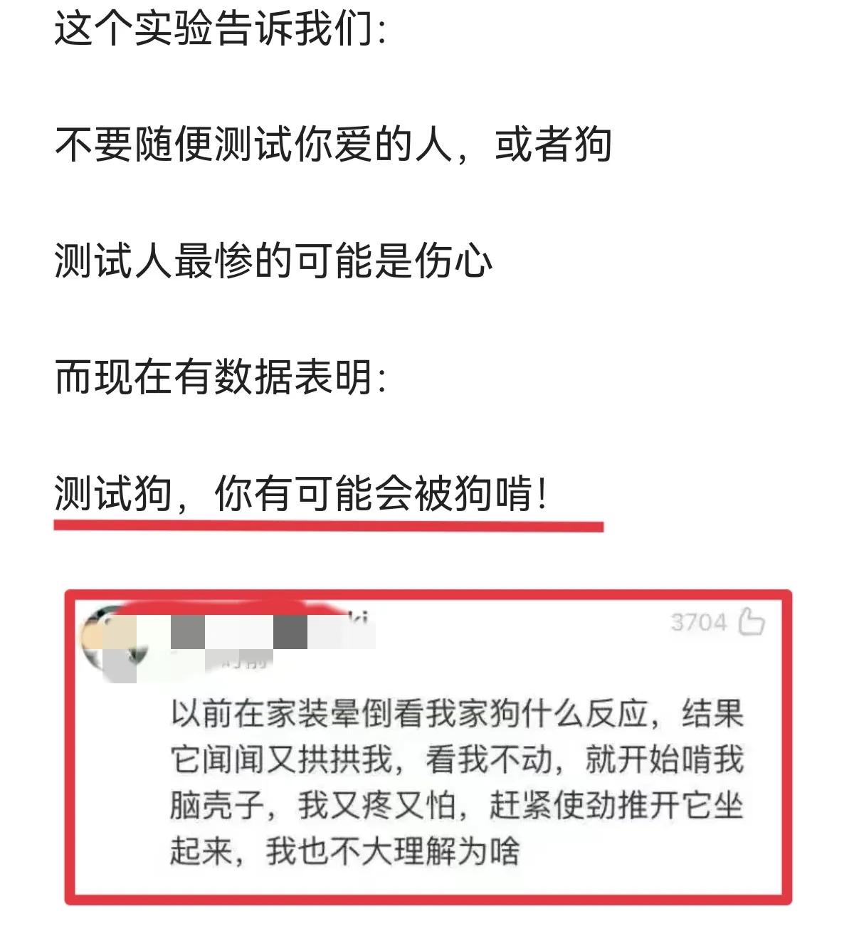 狗是人类的朋友,这是我听过的最冷的笑话