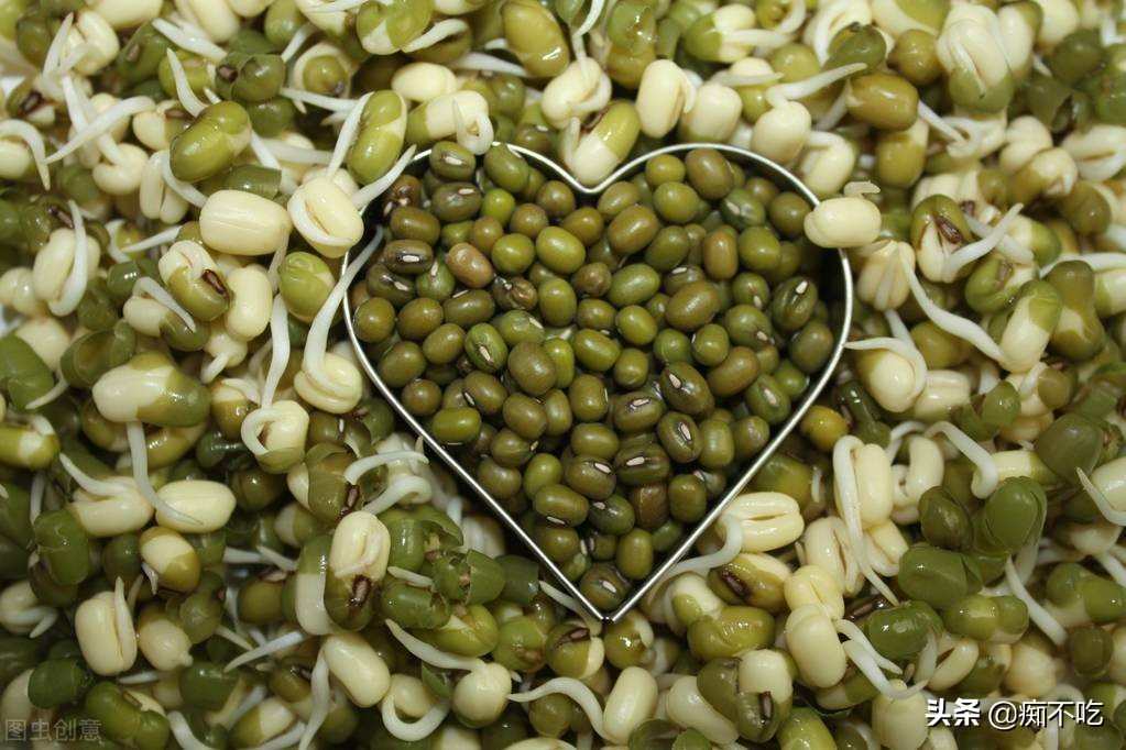 特殊时期家里种菜,特殊时期家里种植蔬菜