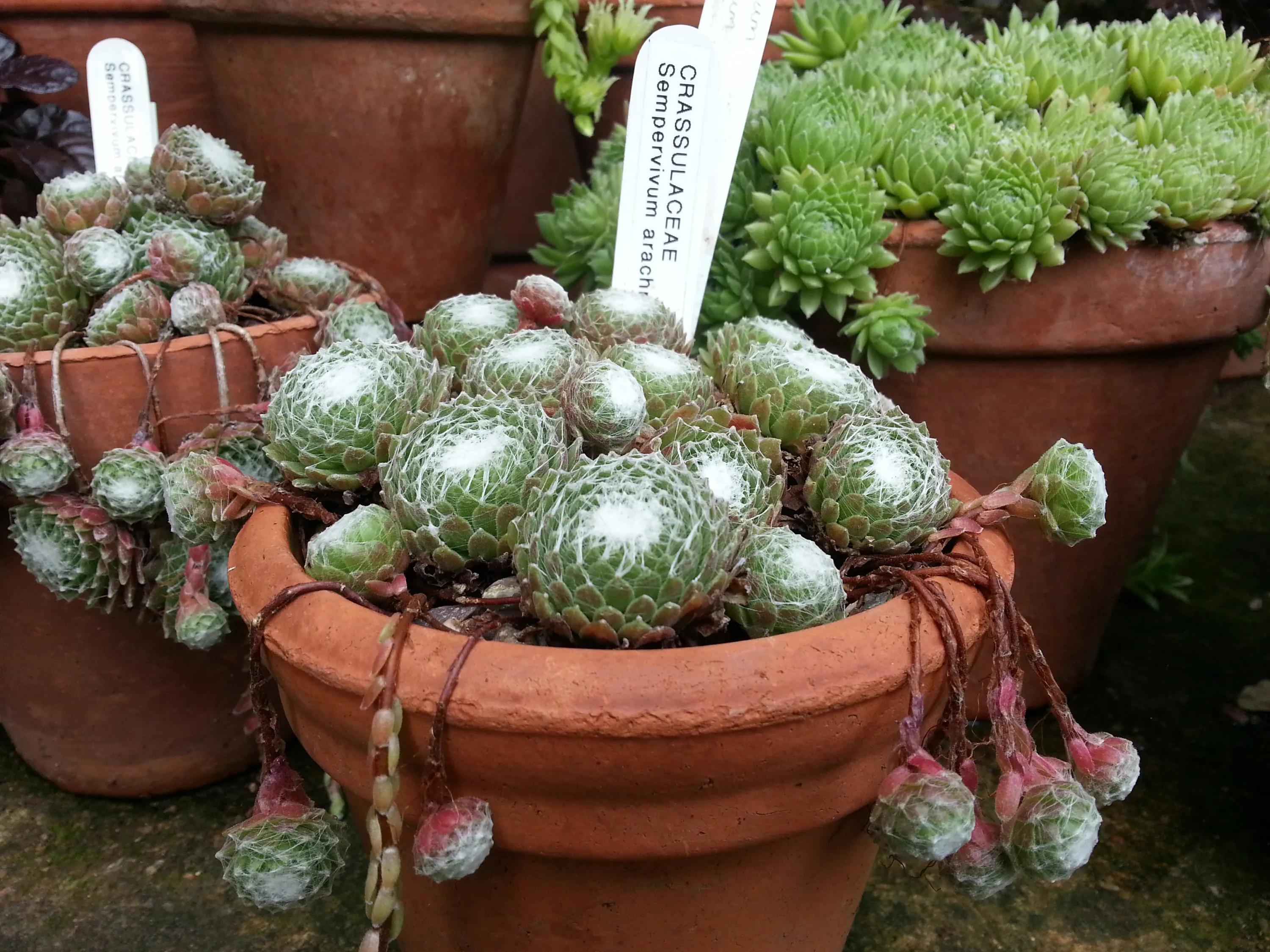 英国伯明翰留学,英国之旅伯明翰