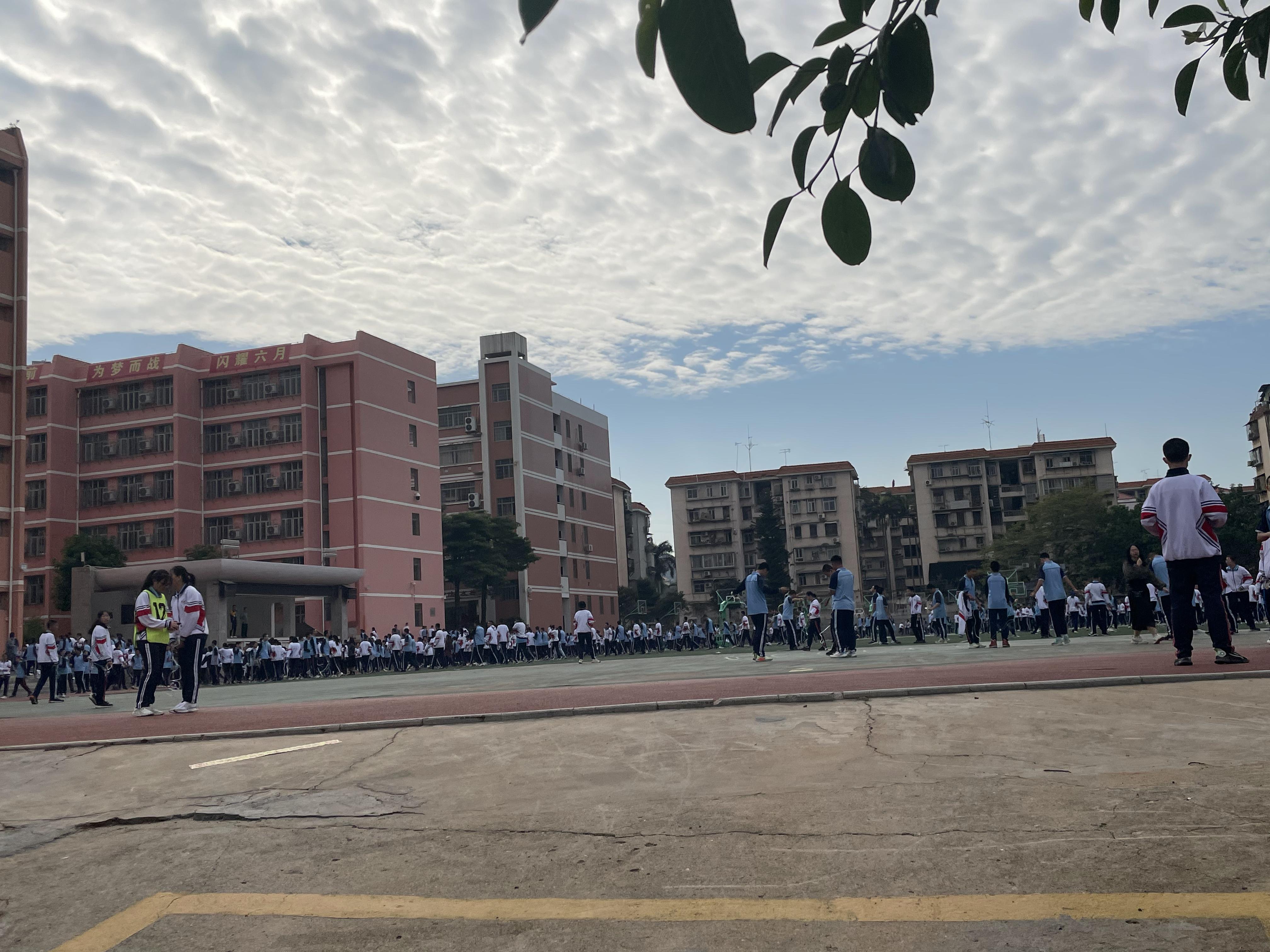 厦门莲花中学为什么叫莲花中学,厦门市莲花中学简介