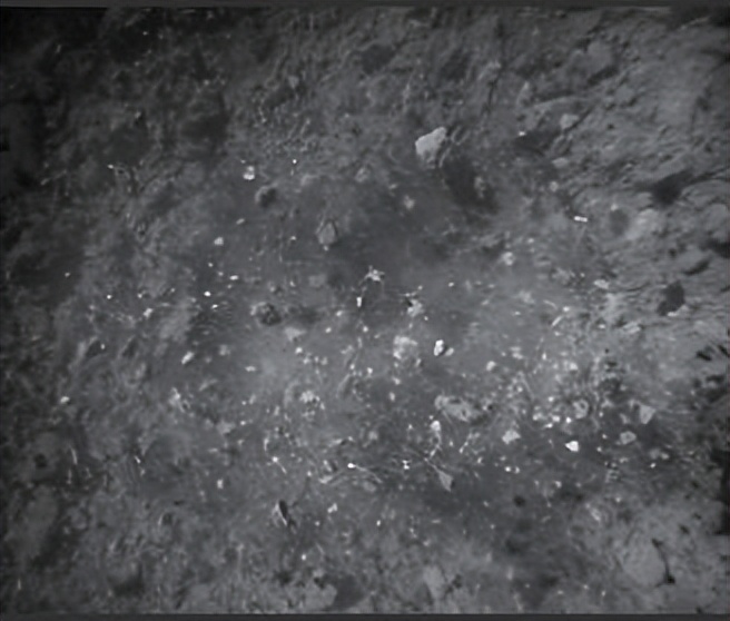 日本隼鸟2号小行星龙宫,隼鸟二号登陆小行星有多大