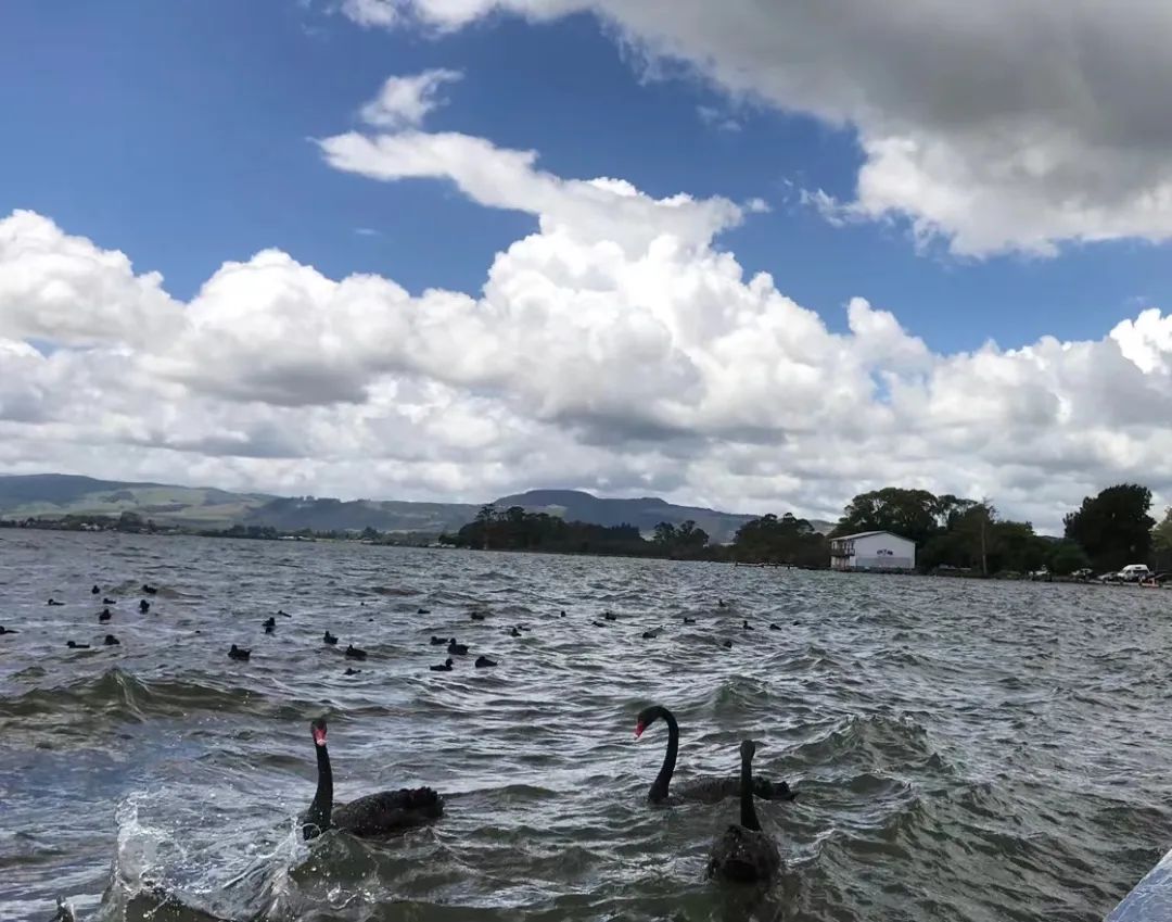 写给不被疫情束缚的心:用文字“云”游新西兰全境