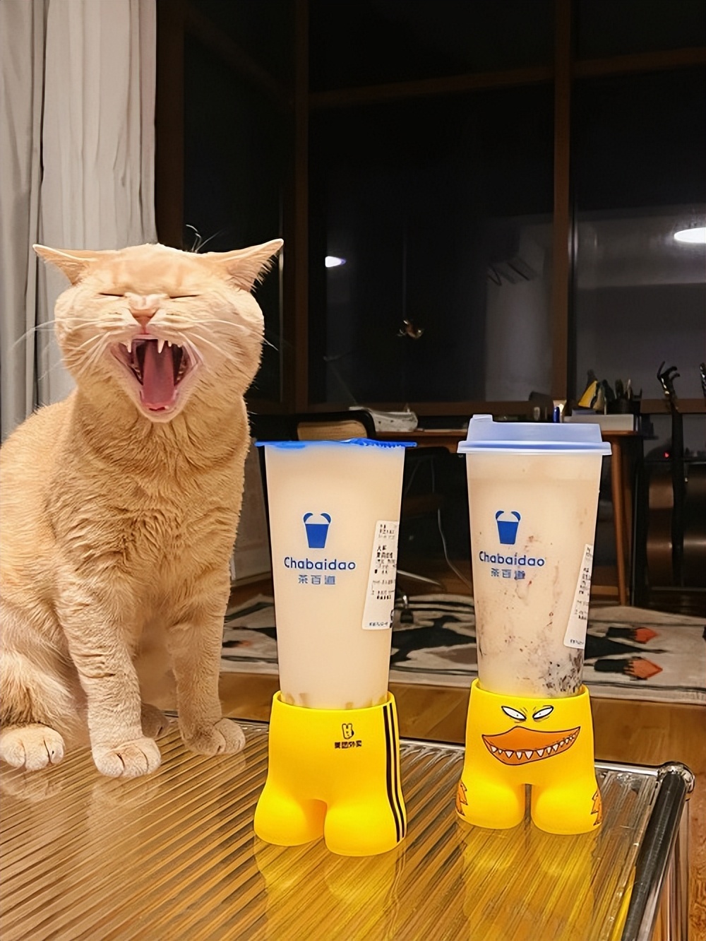 秋去冬来这些品牌暖起来了,秋去冬来接下来更值得期待