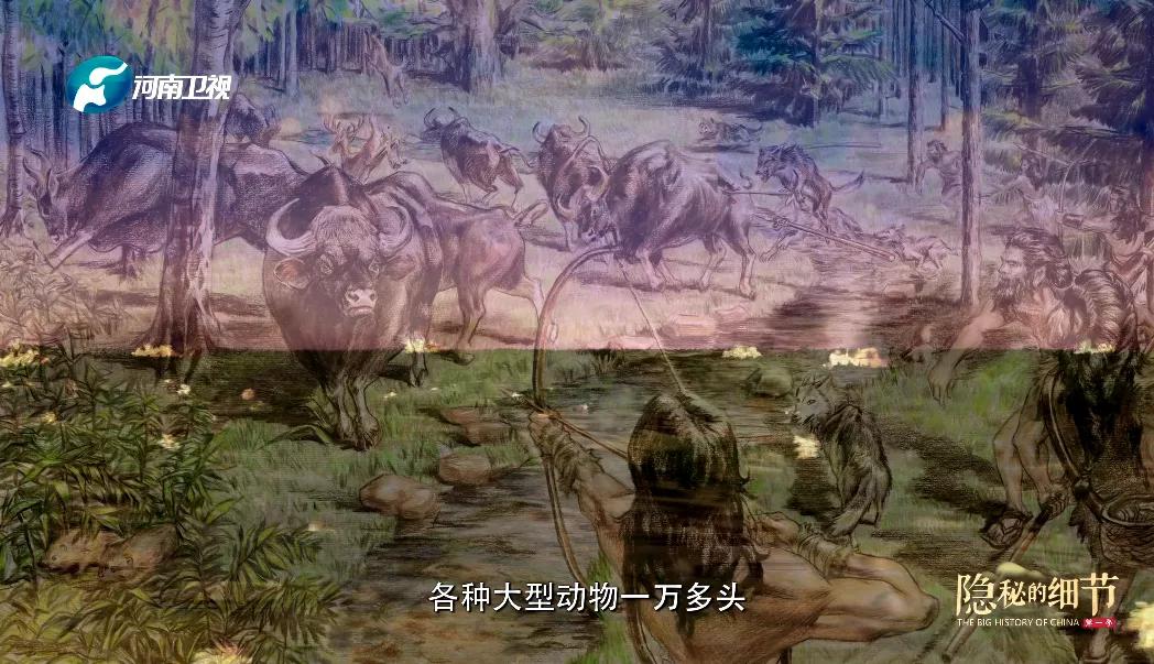 内娱模范夫妻,内娱三大绯闻情侣