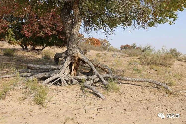 疫情导致的广告行业倒闭的有多少,疫情影响下的广告行业还好吗