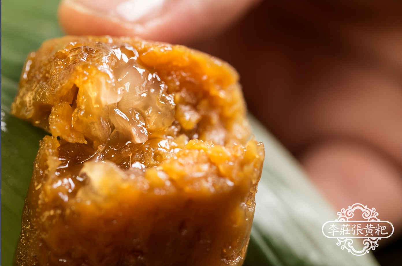 清明节逛李庄古镇,云逛自然博物馆