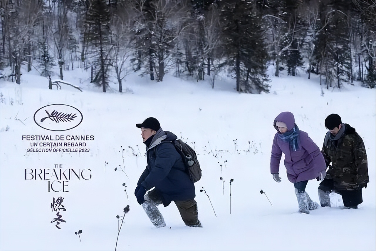 戛纳红毯尴尬瞬间,戛纳镜头堪称照妖镜