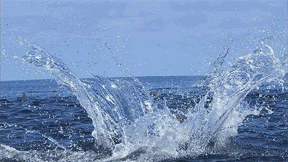 100个难得一见照片,难得一见12张照片