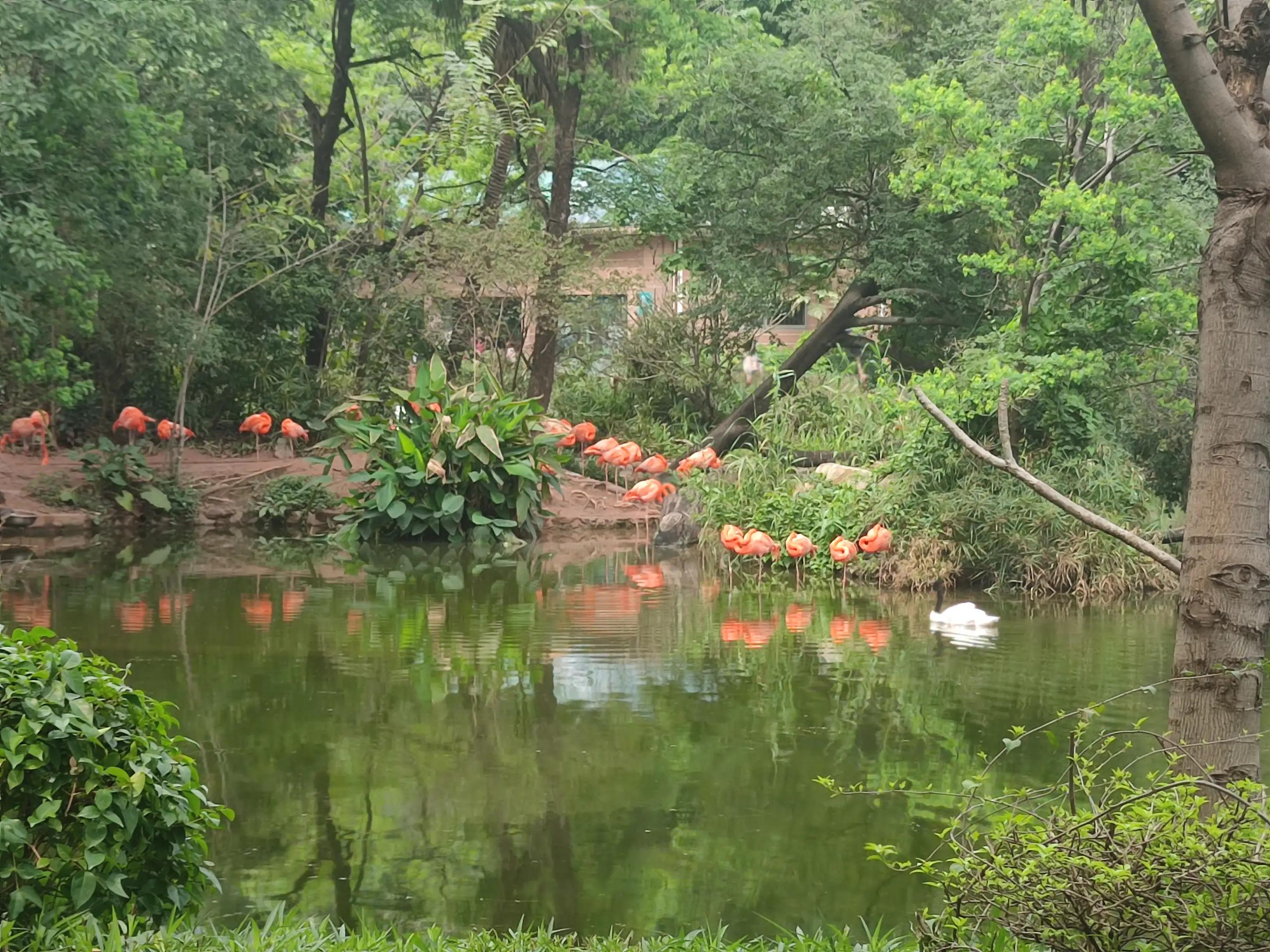 祝福同学儿子新婚的祝福语,祝福朋友的孩子新婚的祝福语