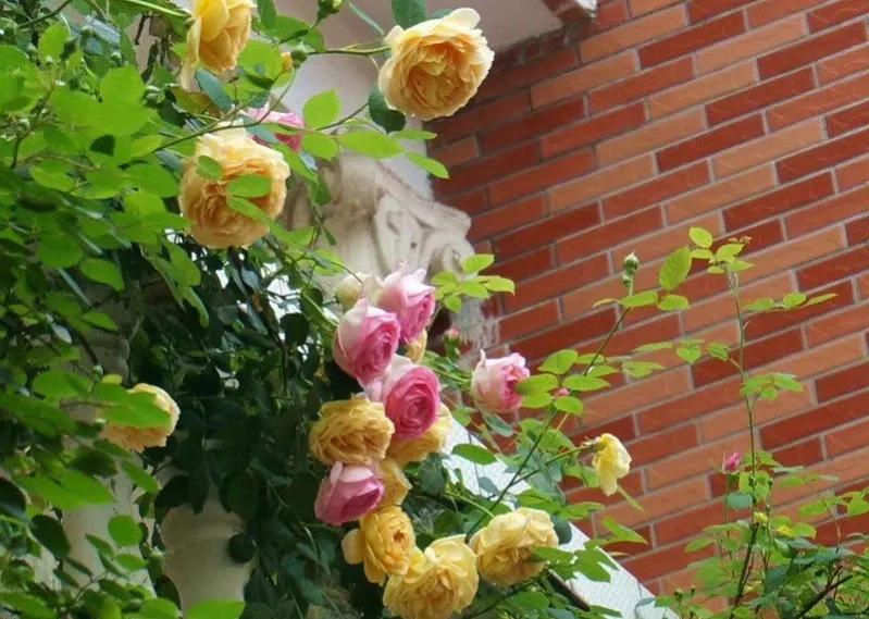 中庸智慧精华解析,中庸之道是先圣先贤的智慧结晶