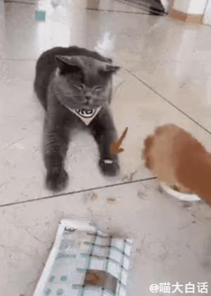 背德文学啥意思,背德文学是什么