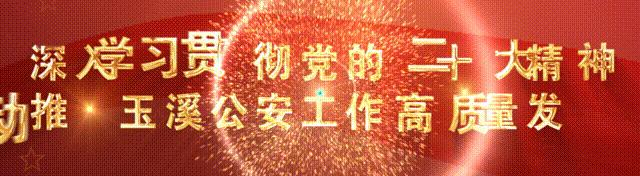 近期的网络诈骗警情通报,电信网络诈骗警情通告