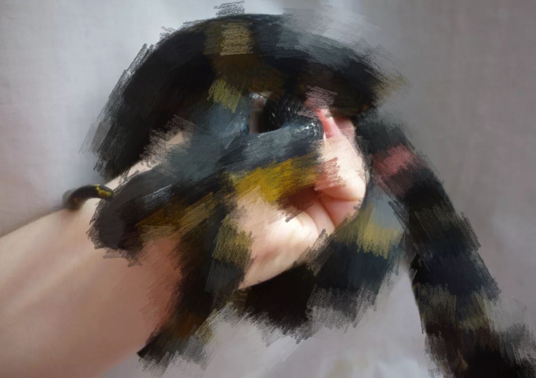 私自养野生蛇,农户私放1000条眼镜蛇