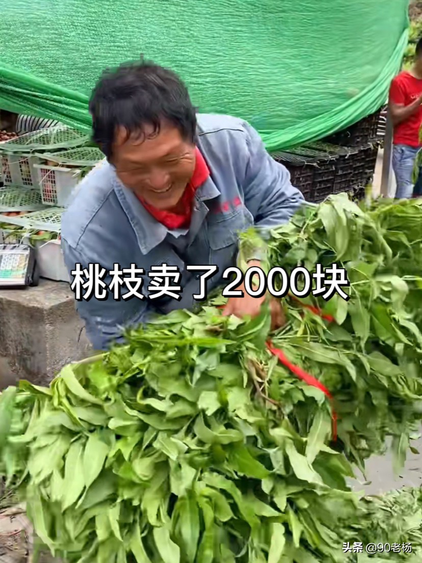 卖桃事件,有人卖桃子卖了30块一斤