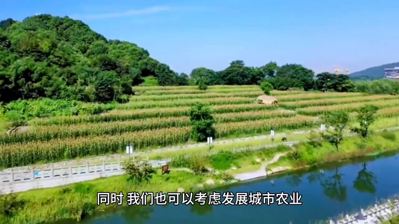 冬天来了你想做什么,如果冬天来了怎么办