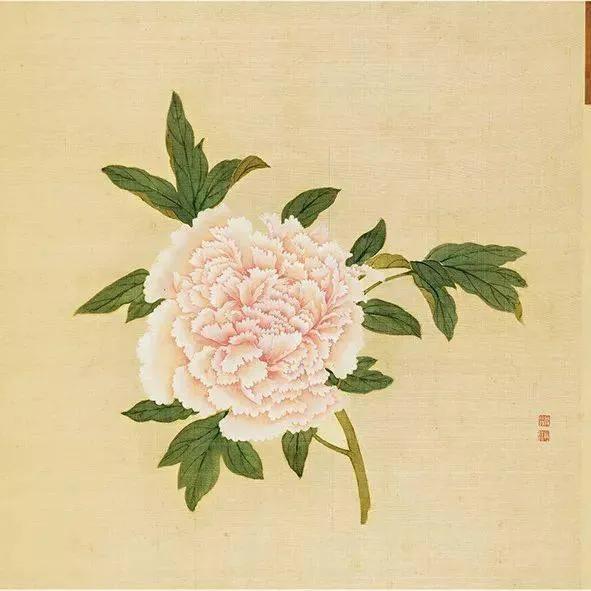 蒋廷锡牡丹画法,蒋廷锡百种牡丹画法