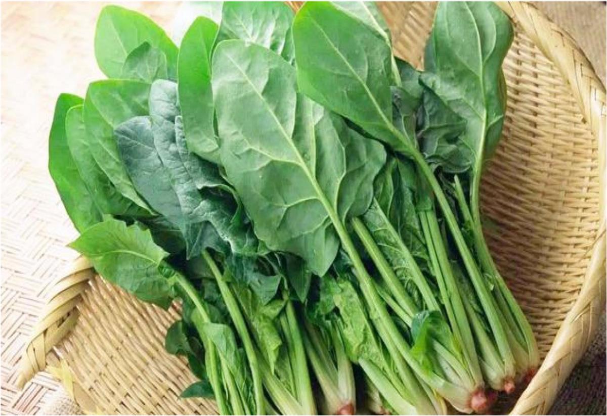 专家建议不缺钱的老年人，多吃这六样食物，腿脚有劲营养健康。