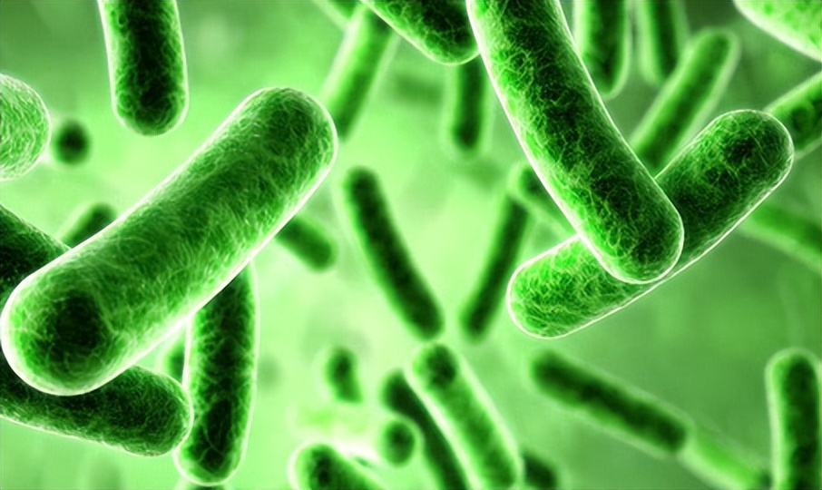 成人每次排便后需要洗屁股吗,便后洗屁股有好处吗