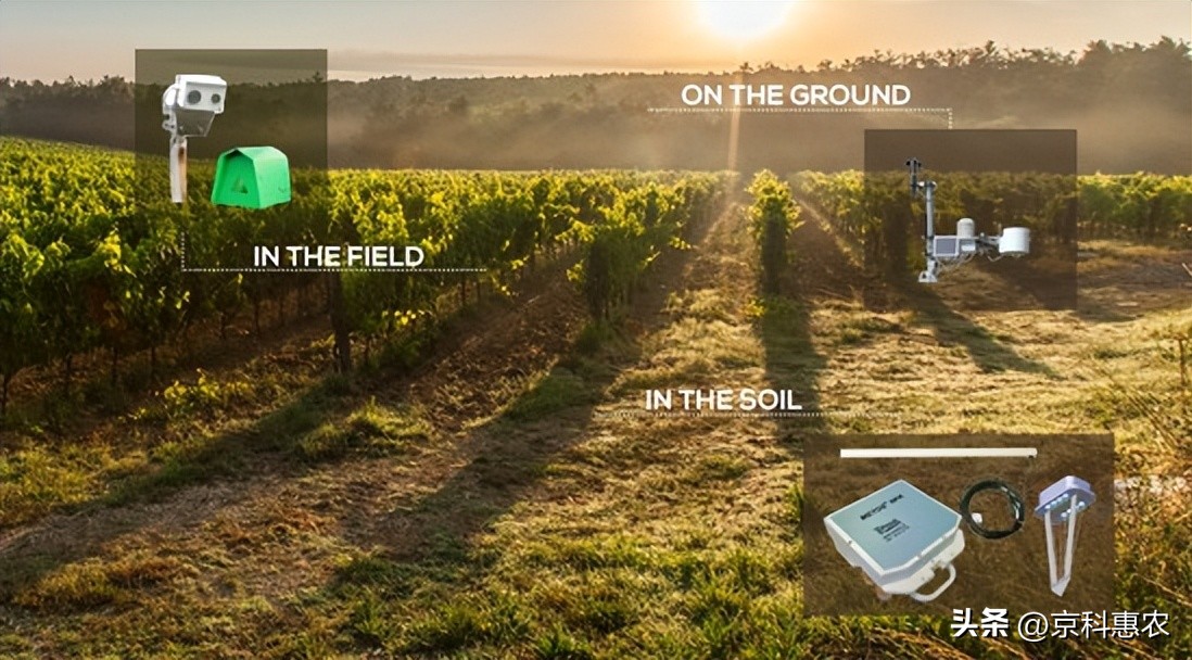 农业人工智能的项目还有哪些空白,农业ai方面的技术发展