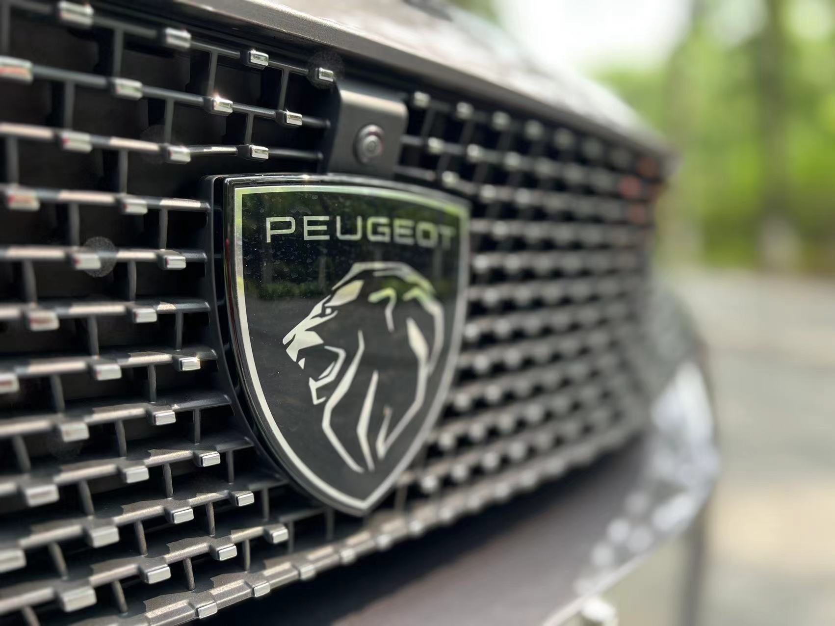 盾牌黑底狮子的车标,盾牌狮身车标