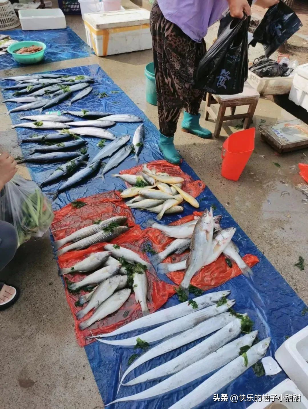 海边自助烧烤打卡地,海边烧烤自由行