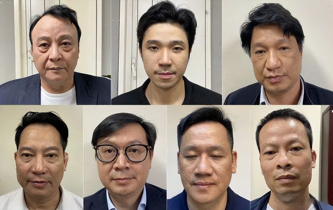 与李嘉诚传绯闻的港姐是谁,越南首富张美兰和李嘉诚合作