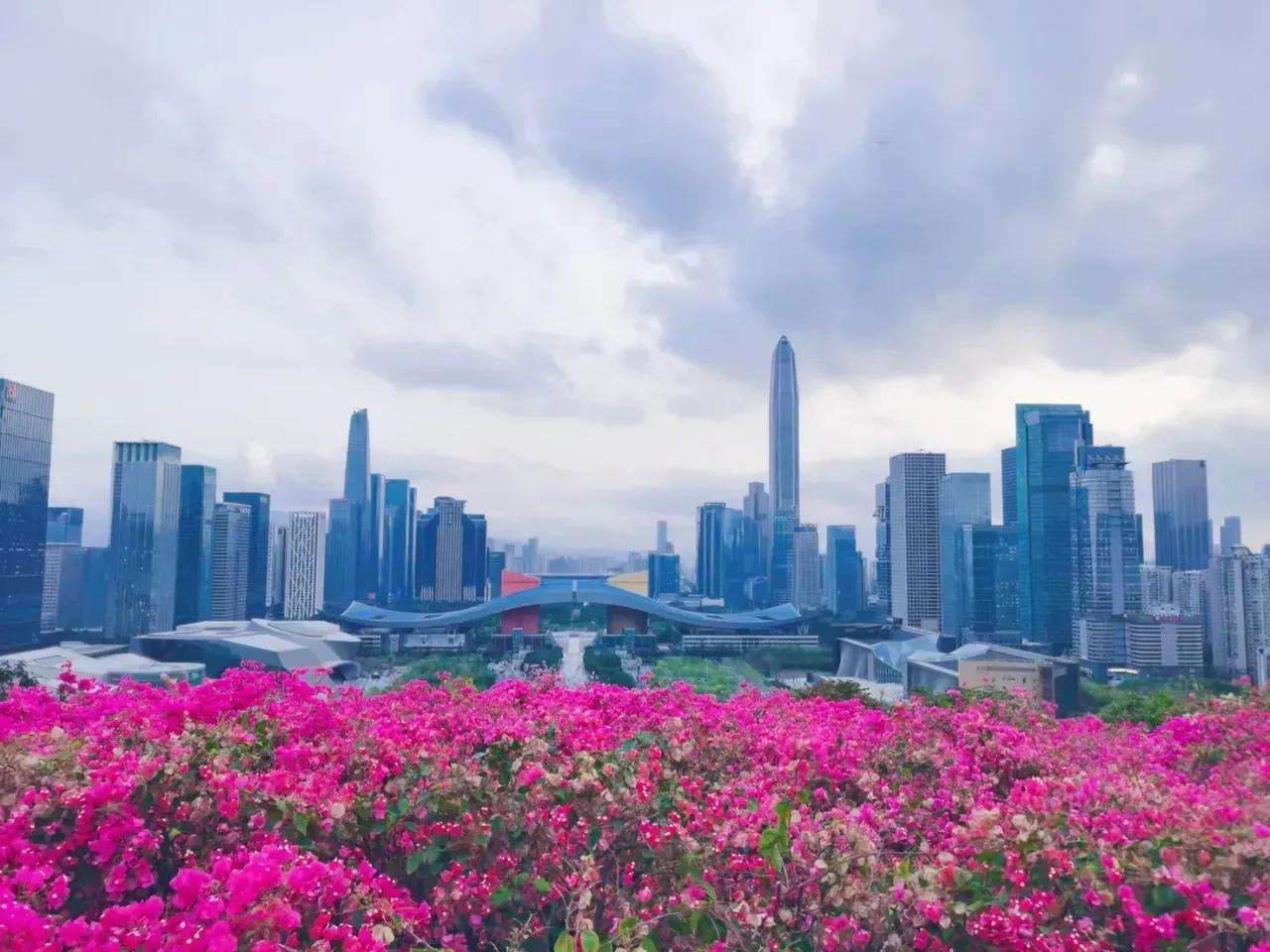 深圳欢迎你歌曲,深圳欢迎您搞笑图片卡通