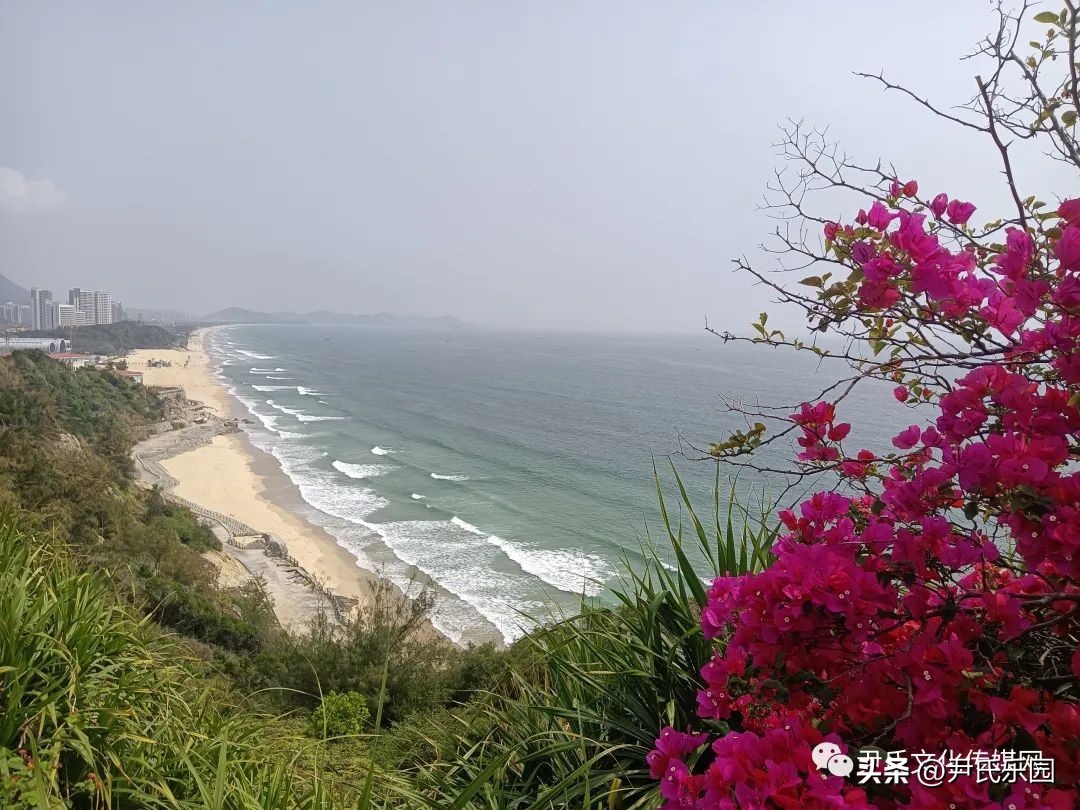 江阳区好玩的地方推荐,江阳景点热门排行榜