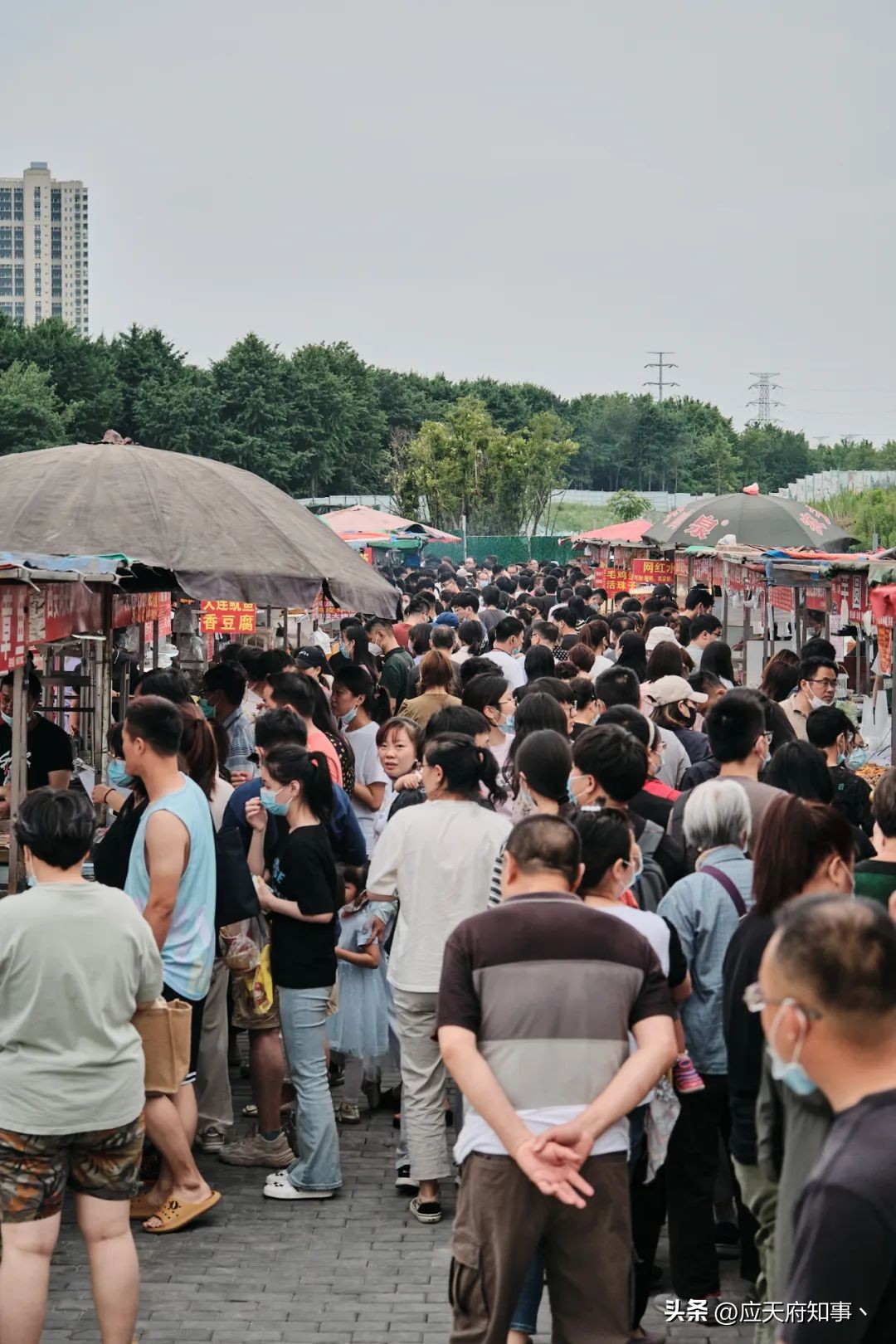 南京大学好吃的美食,南京大学校园里有哪些美食
