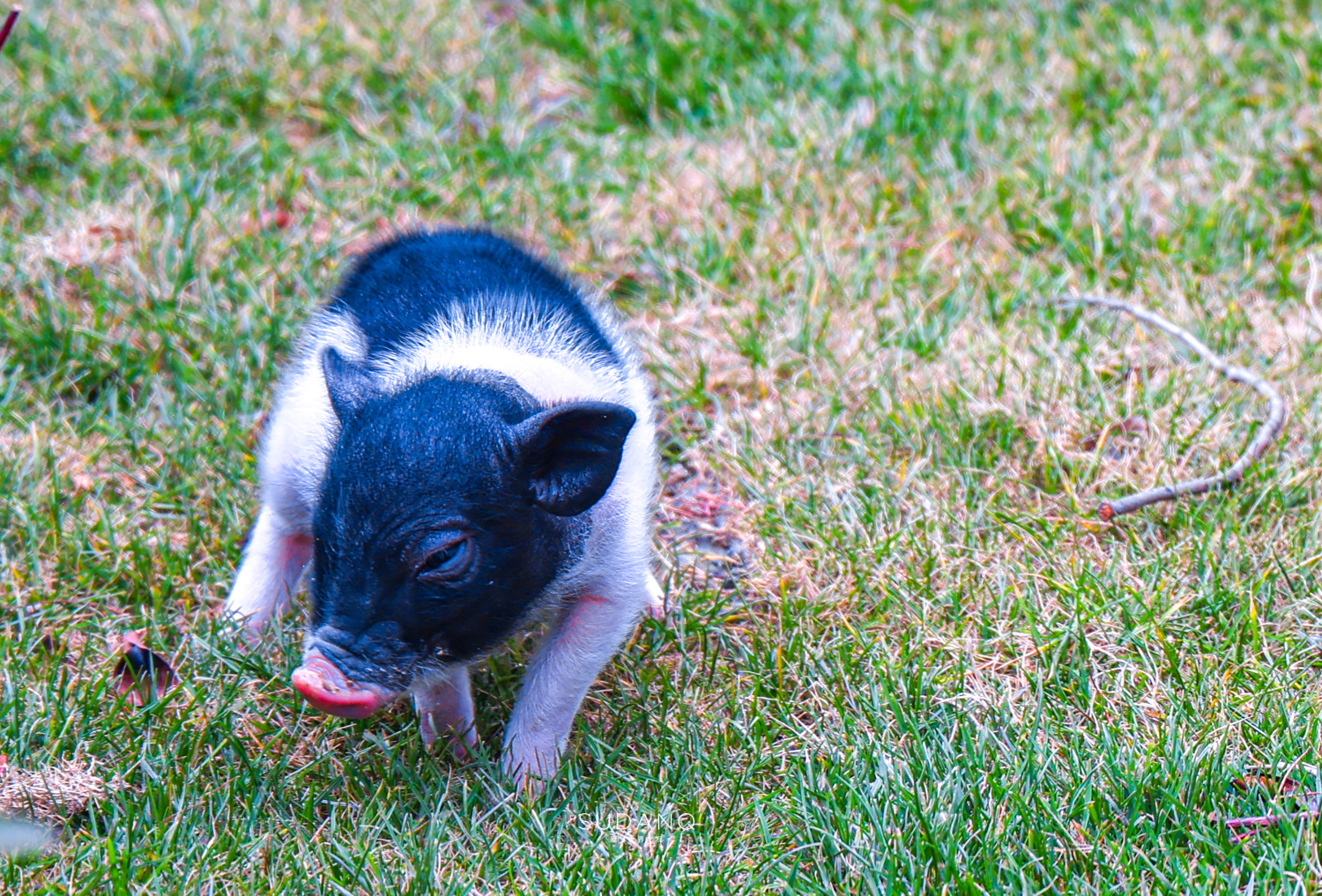 苏州太湖四日游攻略图,新春之旅二日游旅游攻略