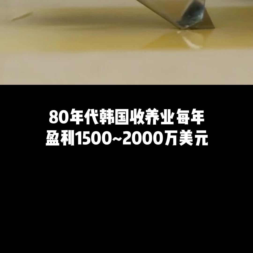 20万 被卖到 还点赞?#许泽玮说西方