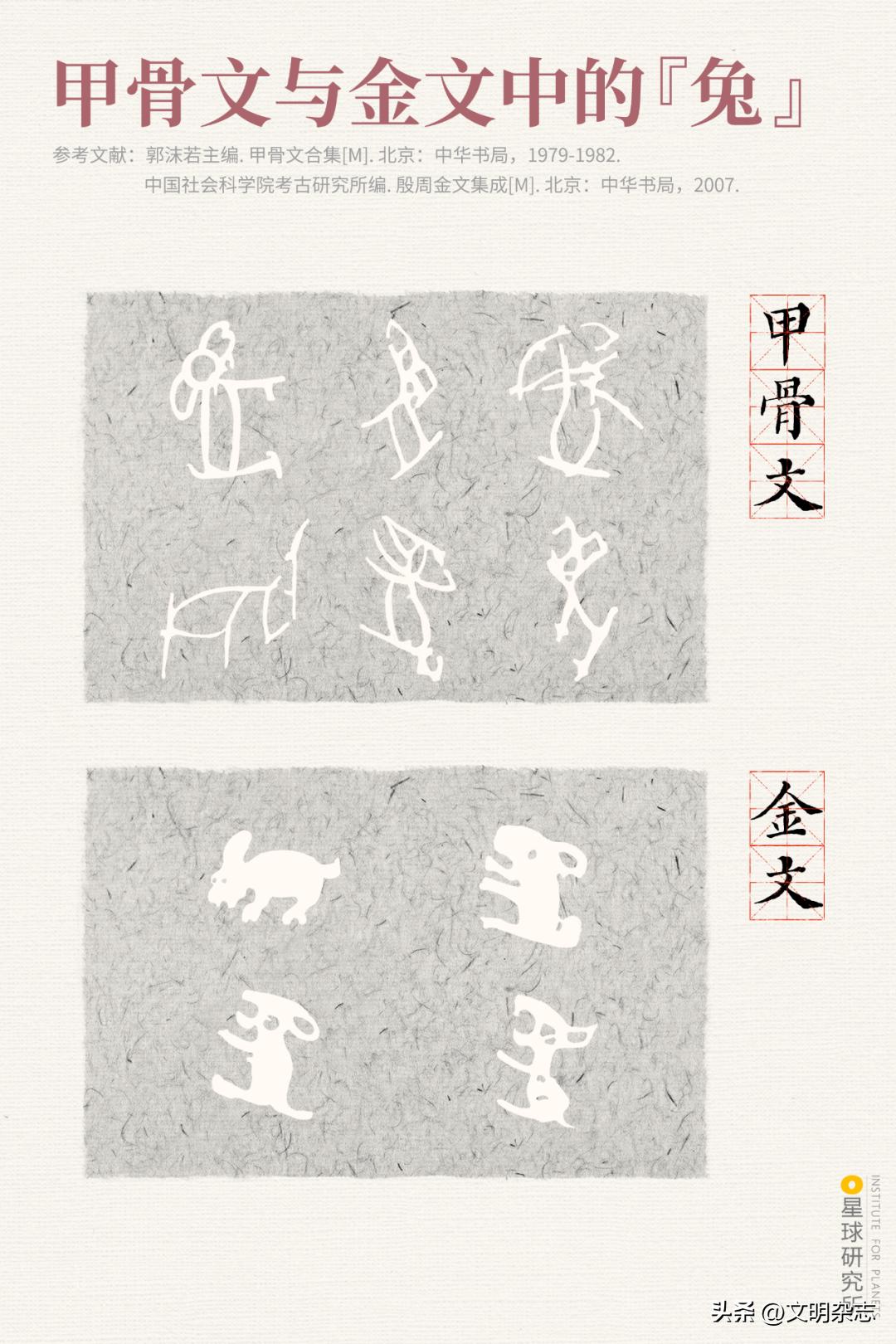 兔子来阳台,兔子来到新家