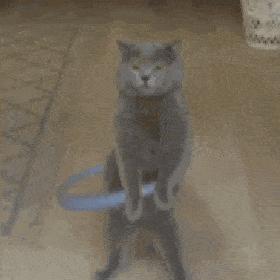 电脑3d桌面,3d桌面软件win7