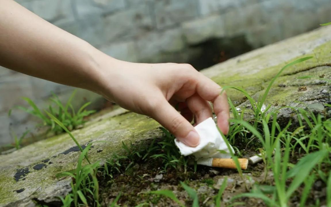 日本收购烟头有什么秘密,日本高价收购我国烟头