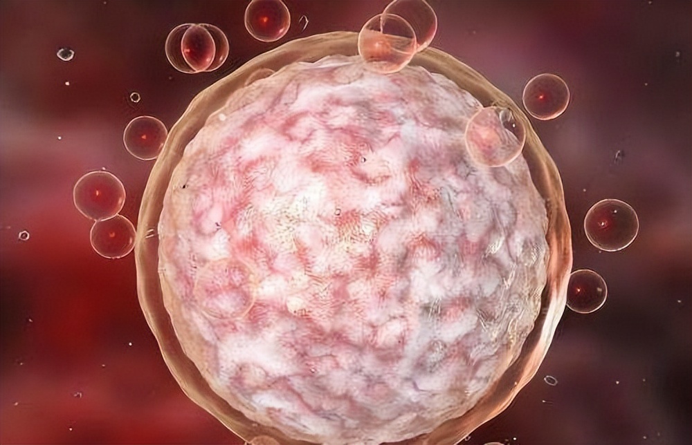 结扎的女性卵子怎么排出来的,女性结扎之后卵子如何排出