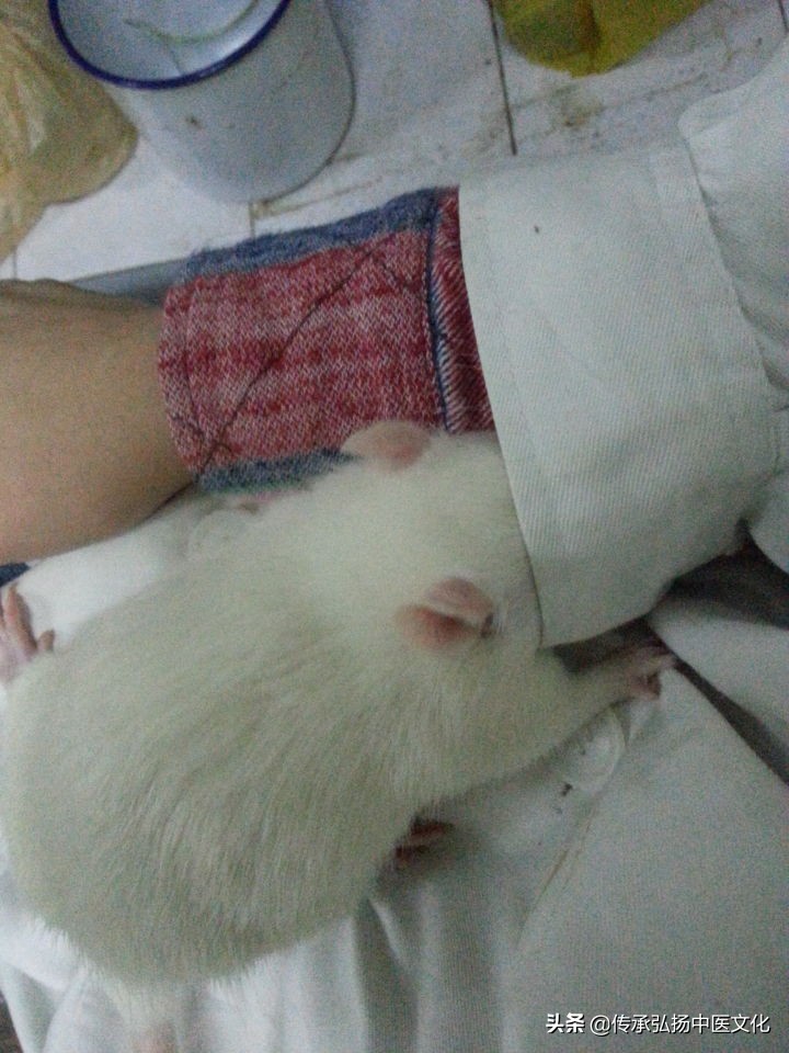 学中医是享受的一个过程,中医研学体验课程