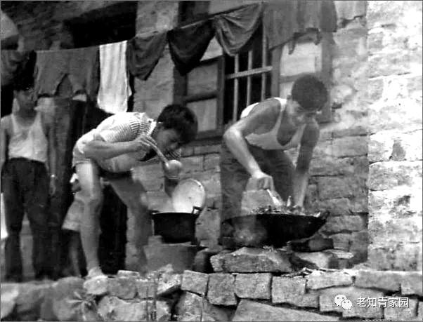 上山下乡的知青文化,知青上山下乡聚餐