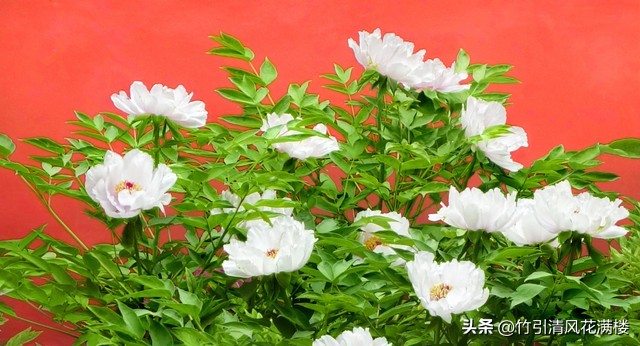 智联招聘、BOSS充斥着太多的不靠谱单位，齐鲁人才网相对靠谱一些