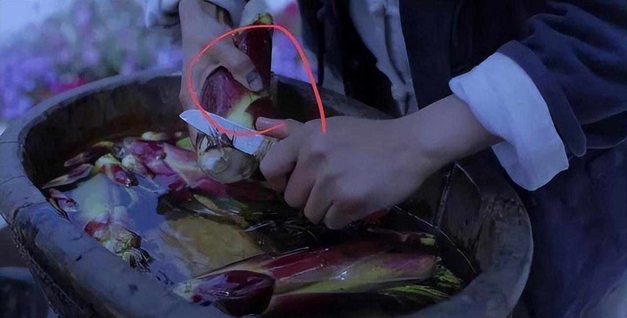 李子柒怎么会有那么大的院子,李子柒隐居山林度过惬意时光